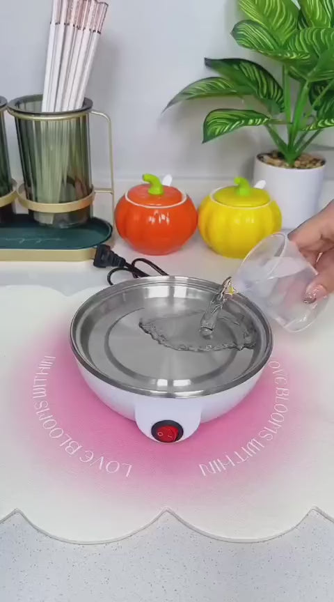 Electric Egg Cooker & Steamer with Auto Shut-Off