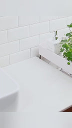 Teddy Bear Self-Adhesive Toothbrush Holder Set of 3